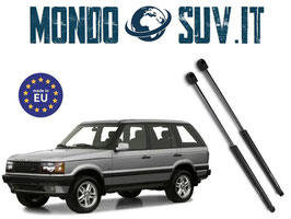 Pistoncini Posteriori Land Rover Classic P38