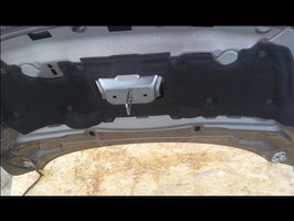 Spugna Insonorizzante Cofano Ford Kuga II 2013-2015