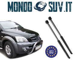 Pistoncini Cofano Motore Kia Sorento JC