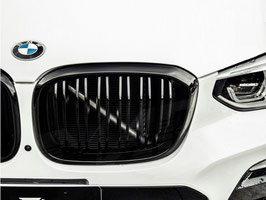 Griglie Anteriori Mascherine BMW X3 G01 2017-2021