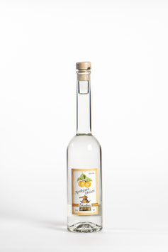 Aprikosen - Apricot