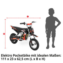 Hecht 54300