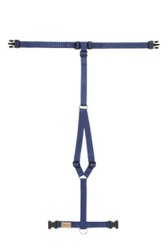 Haqihana Brustgeschirr in Blau