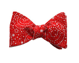 Modell "Prinz Santa"