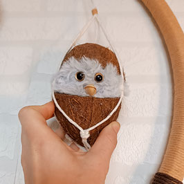 Roue COCO'PISTACHE !