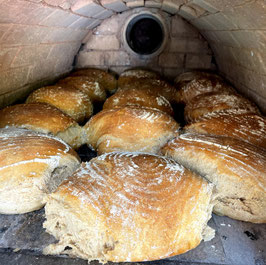 Spezialkurs Dinkelbrote