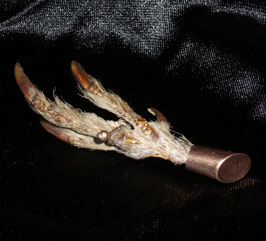 Antiguo broche garra de ave / Old Brooch Bird claw