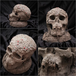 Cráneo TIV Skull (Nigeria)