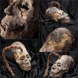 Cabeza trofeo cráneo alargado Peruano (Paracas / Nazca) Peruvian elongated skull trophy head