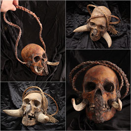 Marquisian Islands Skull / Cráneo Islas Marquesas