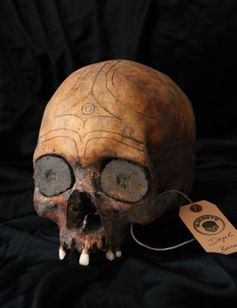 Dayak Skull