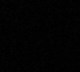 INTERNO PELLE PER VASSOIO CAMBIO POSATE COLORE NERO