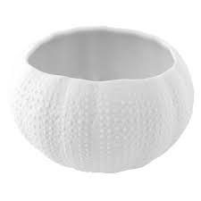 MED TASTING SEA URCHIN BIG SIZE GLOS MAT , Ø6.5x8x3.5cm   , 80ml , CONFEZ. 6 PZ