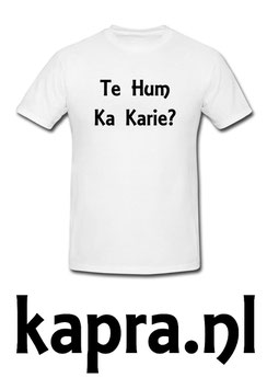 Te Hum Ka Karie?