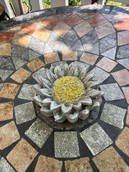 Kleine Sonnenblume