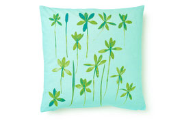 Crocus aqua