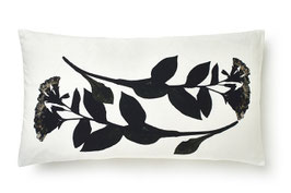 Primrose black