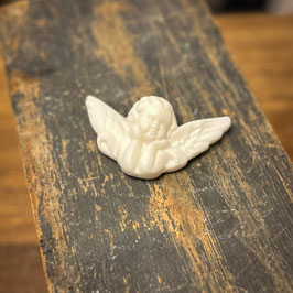 Engel weiß (20g, Frischgewicht)