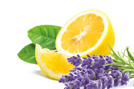 Zitronen-Lavendel Crema