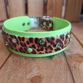 Halsband Biothane Leo grün