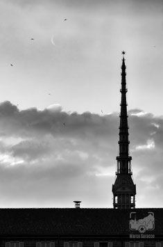 Bianco e nero 10b - La mole e la luna