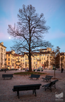 La città 06 - Piazza Arbarello al chiaro di luna