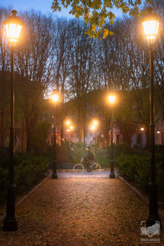 Parchi e giardini 7b - Piazza Maria Teresa