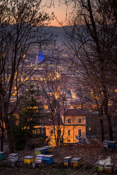 Panorami 03 - Vista sulla città da Villa della Regina alla Mole Antonelliana