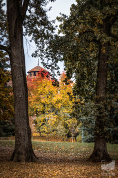 Parchi e giardini 12b - Scorcio verso il Borgo Medievale in autunno