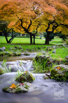 Parchi e giardini 2b - Un ruscello nel Giardino Roccioso