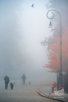 Parchi e giardini 11b - La nebbia del mattino