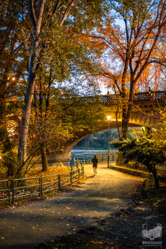 Parchi e giardini 1b - Il Parco del Valentino in autunno