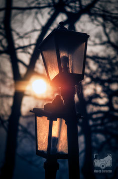 Parchi e giardini 8b - I Lampioni Innamorati all'alba