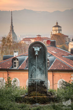 La città 1b - I tre simboli di Torino