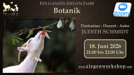 Live-Online-Kurs