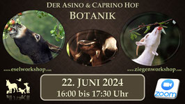 ONLINE AUFZEICHNUNG | Botanik