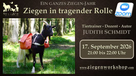 Live-Online-Kurs