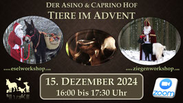 ONLINE-AUFZEICHNUNG | Tiere im Advent
