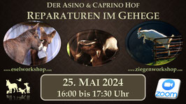 ONLINE AUFZEICHNUNG | Reparaturen im Gehege