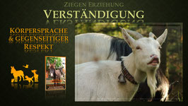 Online-Selbstlernkurs