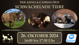 ONLINE-AUFZEICHNUNG | schwächelnde Tiere
