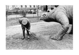 CP CA - Jardin des Plantes, Paris