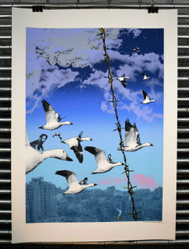The last flight