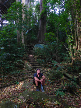 30min professionelle & individuelle Backpacking Beratung