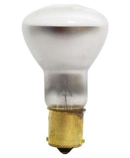 Multi Purpose Light Bulb 2 pcs