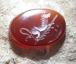 Corniola