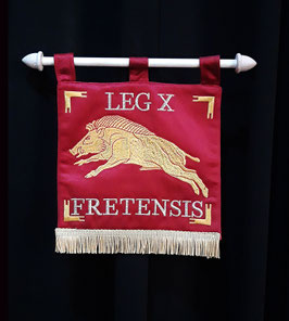 LEG X FRETENSIS