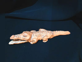 Coccodrillo