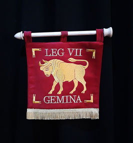 LEG VII GEMINA