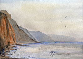 Prints of the Jurassic Coast